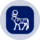 Novo Nordisk (Ondo Tokenized) Icon