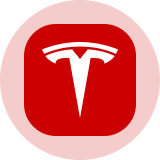 Tesla (Ondo Tokenized) Icon